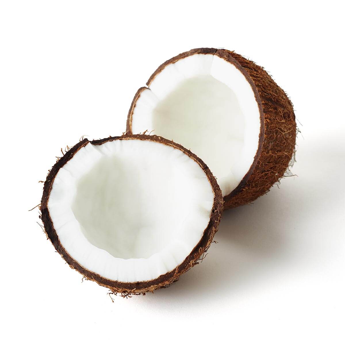Coconut - D'Arrigo NY